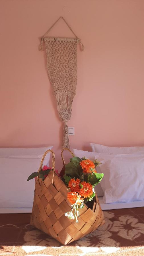 Serengeti Nap Comfy Aparthotel Sidari (Corfu)